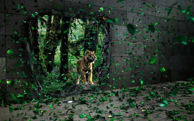 Обои картинки фото разное, компьютерный дизайн, стена, тигр, джунгли, листья, дыра