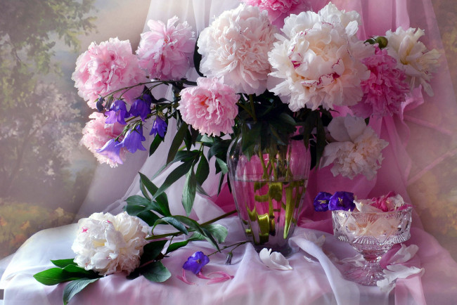Обои картинки фото цветы, пионы, букет, розовые, белые, ваза
