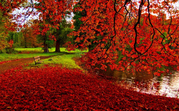 Картинка природа парк пруд деревья листья скамейка