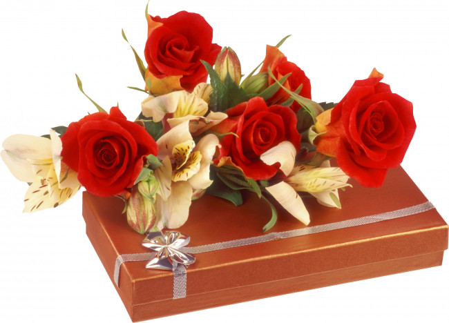 Обои картинки фото цветы, розы, коробка, бант, лента