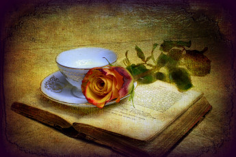 Картинка цветы розы книга чашка текстура