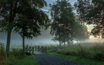 Картинка природа дороги дорога мост утро туман