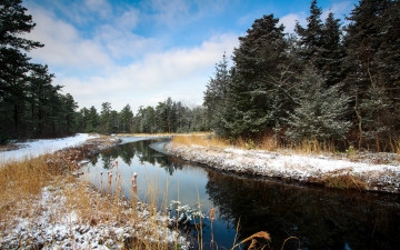 Картинка природа реки озера река лес зима пейзаж