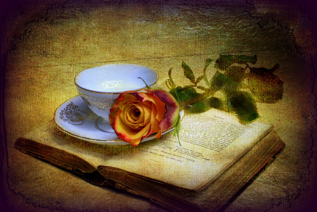 Обои картинки фото цветы, розы, книга, чашка, текстура