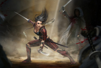 Картинка фэнтези девушки девушка воин мечи схватка бой