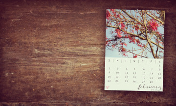 обоя календари, цветы, сакура