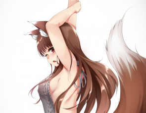 обоя аниме, spice and wolf, holo