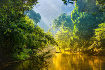 Картинка амазонка природа реки озера лес бразилия река деревья