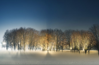 Картинка природа парк ночь зима