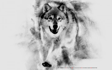Картинка календари компьютерный+дизайн волк животное