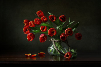 Картинка цветы тюльпаны лепестки букет бутоны