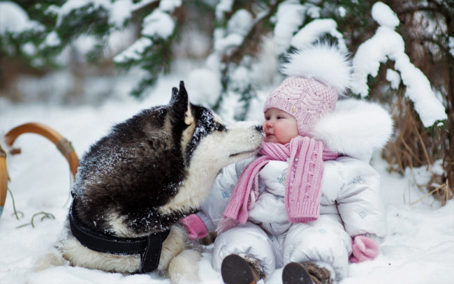 Обои картинки фото разное, дети, ребенок, собака, снег