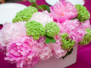 Картинка цветы букеты композиции розовый зеленый
