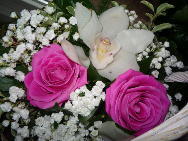 Обои картинки фото цветы, букеты, композиции, букет, розы, орхидеи