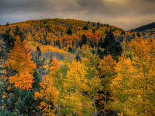 Картинка природа лес тучи небо горы деревья осень