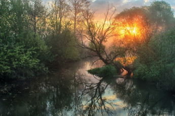 Картинка природа восходы закаты заводь лес солнце туман отражение игорь денисов