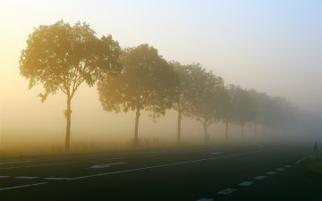 Картинка природа дороги дорога деревья туман утро