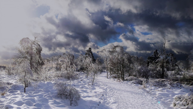 Обои картинки фото природа, зима, поле