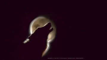 Картинка календари рисованные +векторная+графика вой ночь луна волк