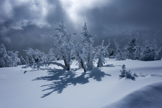 Обои картинки фото природа, зима, горы, пейзаж, тучи, тени, снег, деревья