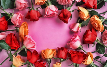 Картинка цветы розы бутоны разноцветные
