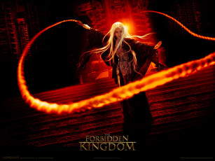 Картинка the forbidden kingom видео игры kingdom