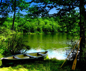Картинка green lake природа реки озера зеленое озеро