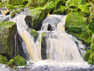 Картинка природа водопады мох камни водопад