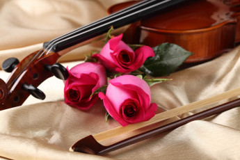обоя музыка, музыкальные, инструменты, скрипка, смычок, розы