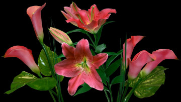 Картинка цветы разные вместе розовый каллы лилии