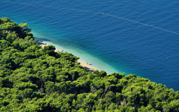 Картинка природа побережье море пляж деревья