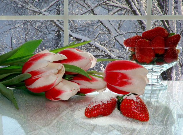 Обои картинки фото еда, клубника, земляника, сахар, тюльпаны, снег