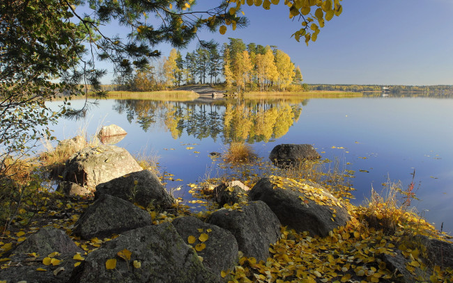 Обои картинки фото природа, реки, озера, озеро, деревья, осень