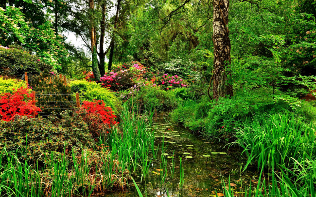 Обои картинки фото природа, парк, цветы, деревья, ручей, трава
