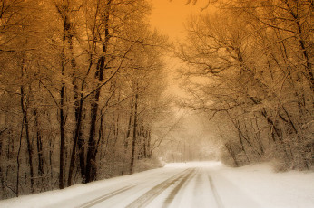 Картинка природа зима дорога лес