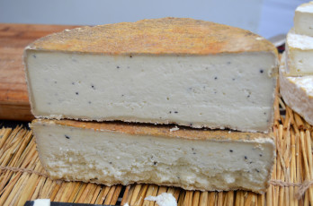 Картинка algues еда сырные+изделия сыр