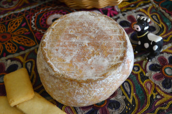 Картинка caste& 769 rieu еда сырные+изделия сыр