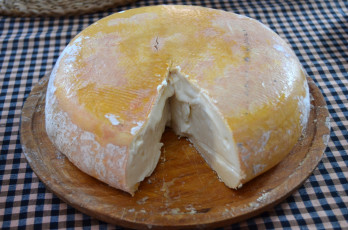 Картинка costa+roia еда сырные+изделия сыр