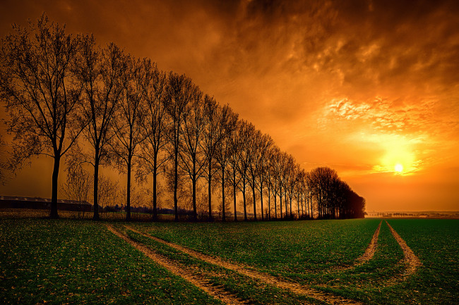 Обои картинки фото природа, восходы, закаты, деревья, закат, облака, небо, дорога, поле