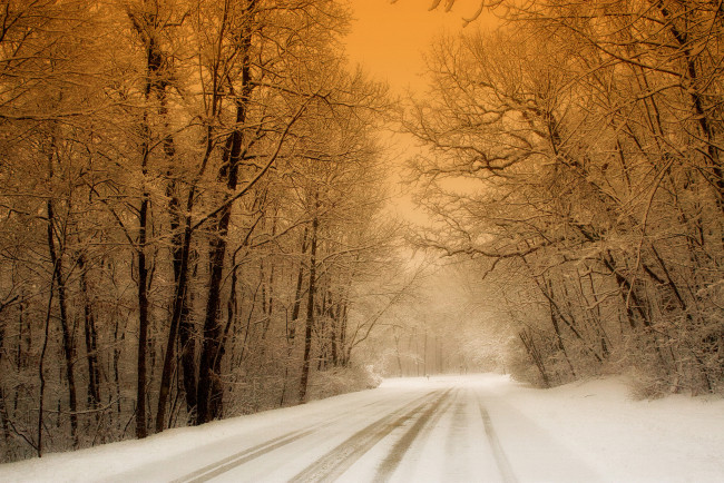 Обои картинки фото природа, зима, дорога, лес