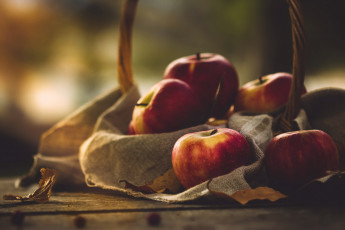 Картинка еда Яблоки фрукты яблоки