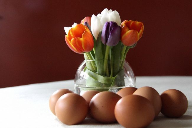 Обои картинки фото еда, Яйца, тюльпаны, цветы, яица