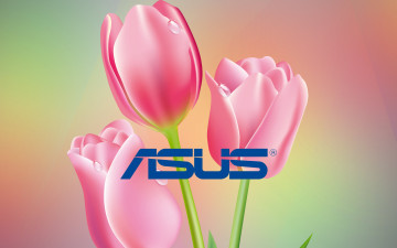 Картинка компьютеры asus логотип фон