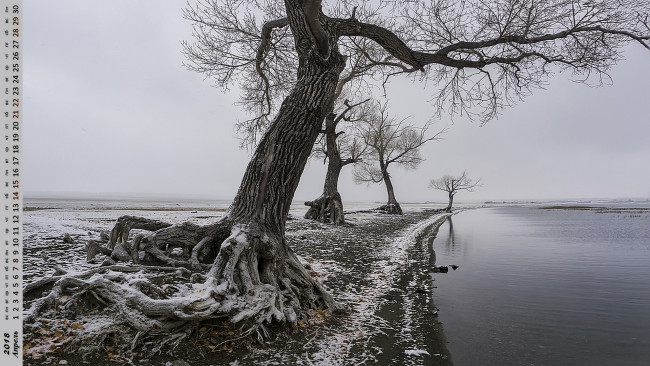 Обои картинки фото календари, природа, водоем, деревья