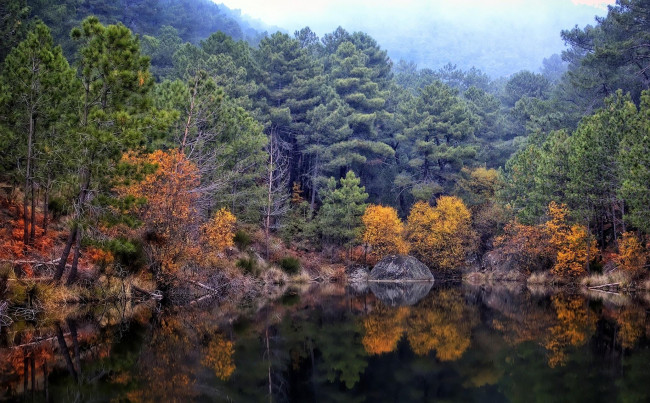 Обои картинки фото природа, реки, озера, озеро, осень, лес, деревья, камень
