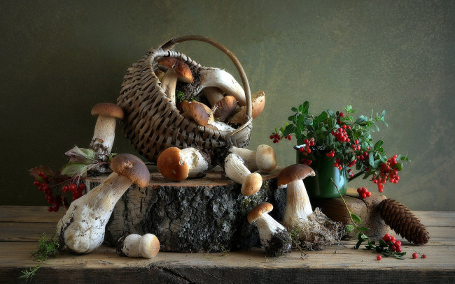 Обои картинки фото еда, грибы,  грибные блюда, шишка, рябина, корзина, боровики