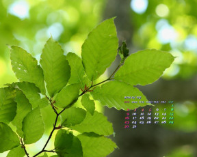 Картинка календари природа