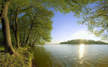 Картинка природа реки озера деревья озеро