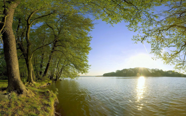 Обои картинки фото природа, реки, озера, деревья, озеро