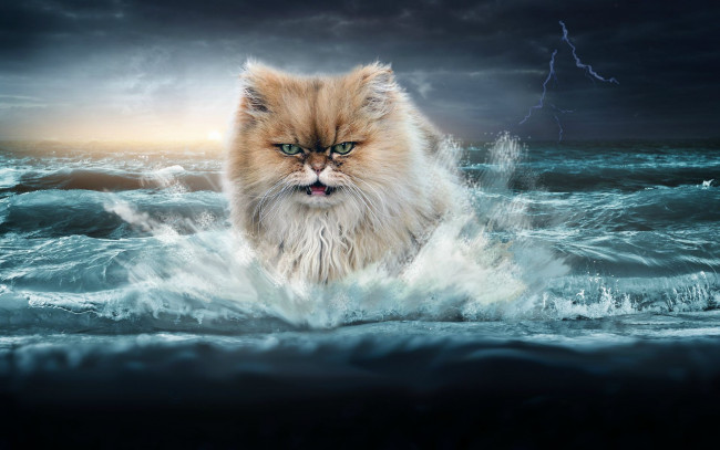 Обои картинки фото разное, компьютерный, дизайн, море, кот, молния, волны